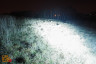 Фара водительского света РИФ 516 мм 240W LED